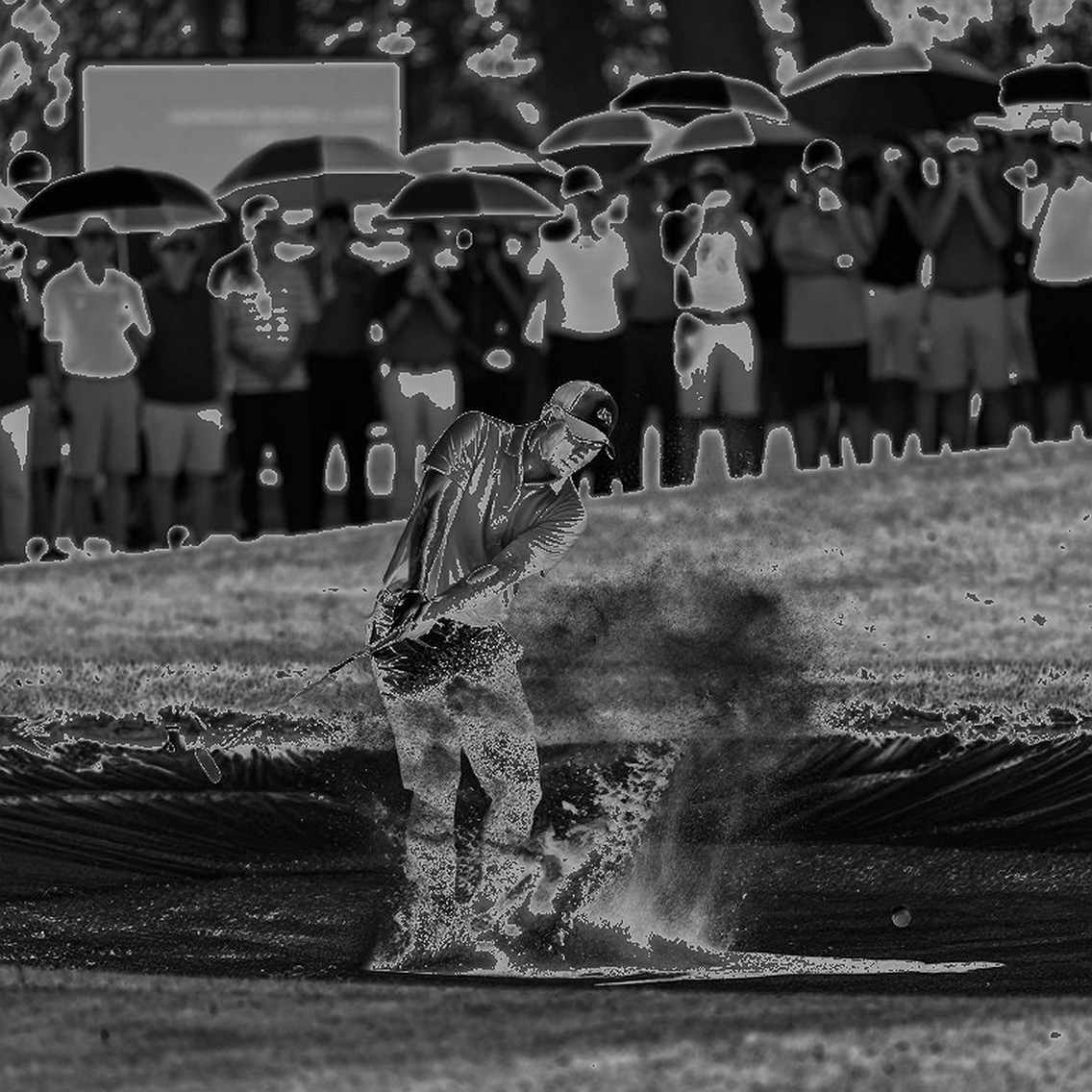 Tiger Woods có được lái xe golf không? Câu hỏi làm bối rối luật sư tiểu bang và lỗ hổng pháp lý của Florida