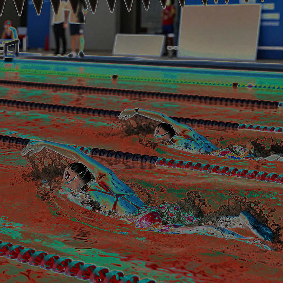 Peter Tonkin giải nghệ ở tuổi 78: 55 năm từ huy chương Olympic 2026 đến chương trình bơi lội cho người bản địa Úc Peter Tonkin giải nghệ ở tuổi 78: 55 năm từ huy chương Olympic 2026 đến chương trình bơi lội cho người bản địa Úc